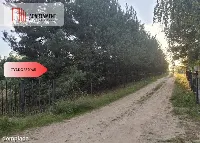 Działka blisko jeziora ,las, 3300m2 — zdjęcie 8