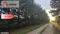 Działka blisko jeziora ,las, 3300m2 — zdjęcie 9