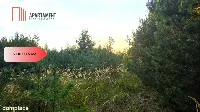 Działka blisko jeziora ,las, 3300m2 — zdjęcie 12