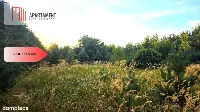 Działka blisko jeziora ,las, 3300m2 — zdjęcie 13