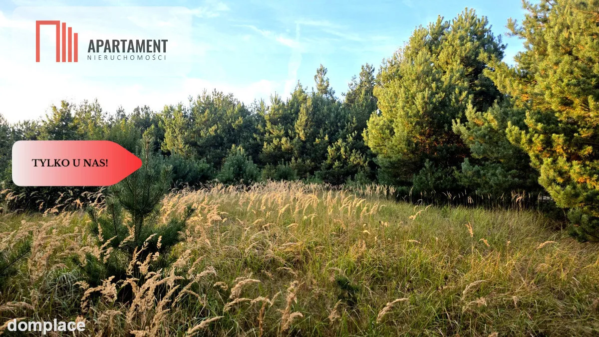Działka blisko jeziora ,las, 3300m2 — zdjęcie 14