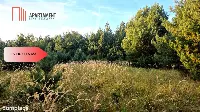 Działka blisko jeziora ,las, 3300m2 — zdjęcie 14