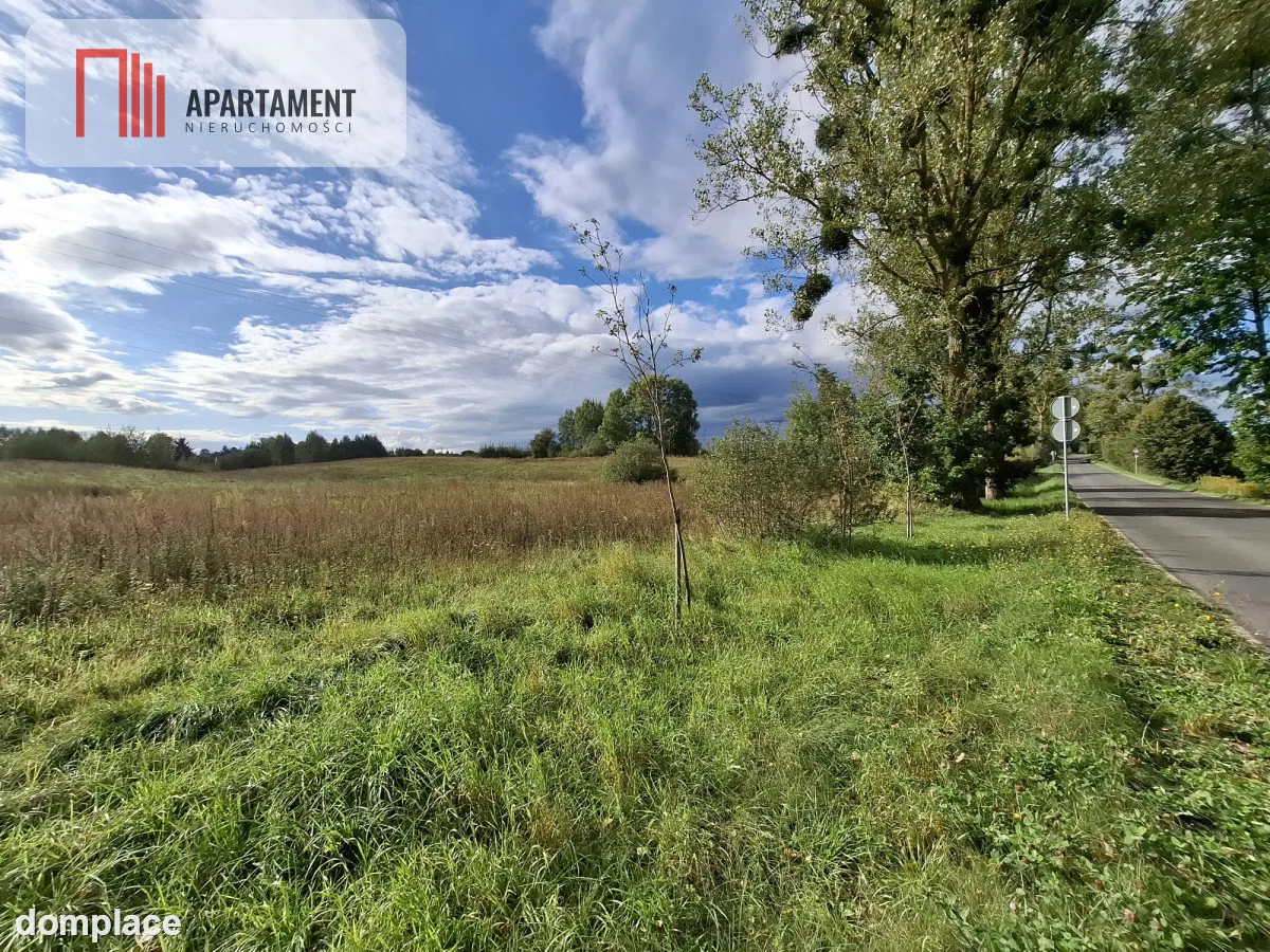 1. Działka 3000 m² – Warmia, 15 min od Olsztyna — zdjęcie 4