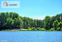 Działka linia brzegowa jeziora Kaszuby las Miastko — zdjęcie 7