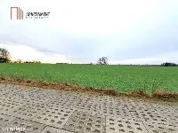 Działki budowlane blisko miasta Rokocin — zdjęcie 7