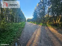 malownicza działka w Chełmżycy k. Iławy – 49 arów — zdjęcie 2