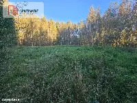 malownicza działka w Chełmżycy k. Iławy – 49 arów — zdjęcie 3