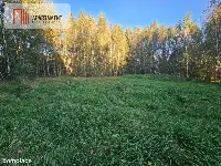 malownicza działka w Chełmżycy k. Iławy – 49 arów — zdjęcie 4