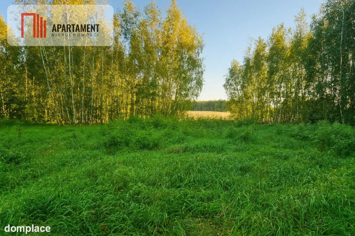 malownicza działka w Chełmżycy k. Iławy – 49 arów — zdjęcie 6