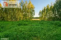 malownicza działka w Chełmżycy k. Iławy – 49 arów — zdjęcie 6
