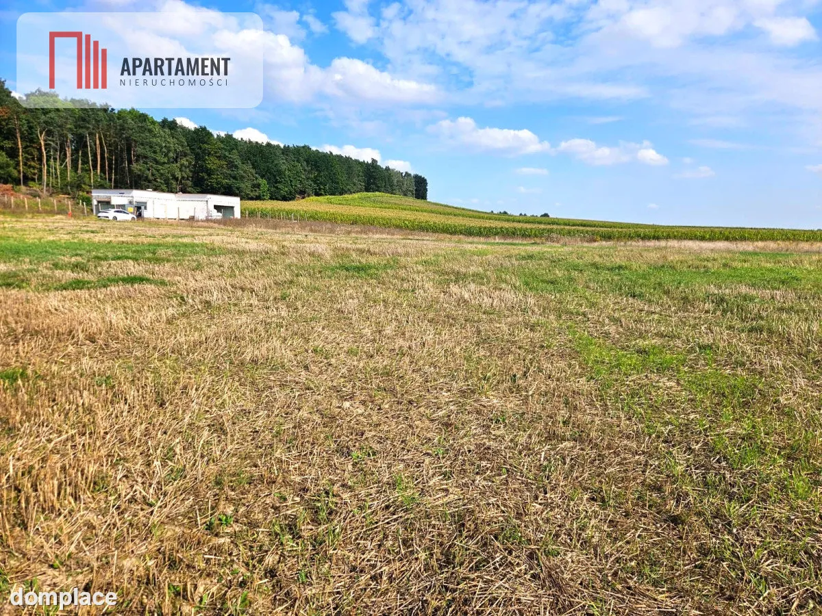 Działka budowlana 981m2 Smogorzewo — zdjęcie 5
