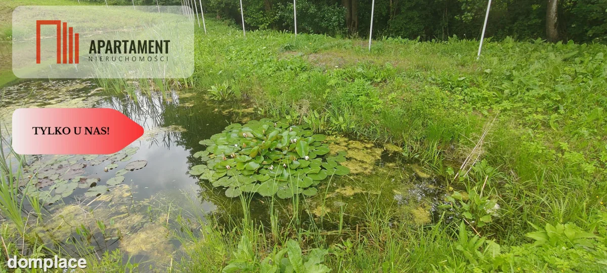 OBNIŻKA !!!Dom nad rzeką dz. 2924 m²  Natura 2000 — zdjęcie 4