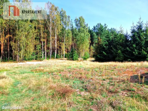 Działka budowlana ze ścianą lasu . — zdjęcie 4