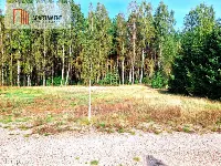 Działka budowlana ze ścianą lasu . — zdjęcie 5
