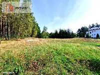 Działka budowlana ze ścianą lasu . — zdjęcie 1