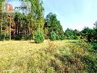 Działka budowlana ze ścianą lasu . — zdjęcie 6