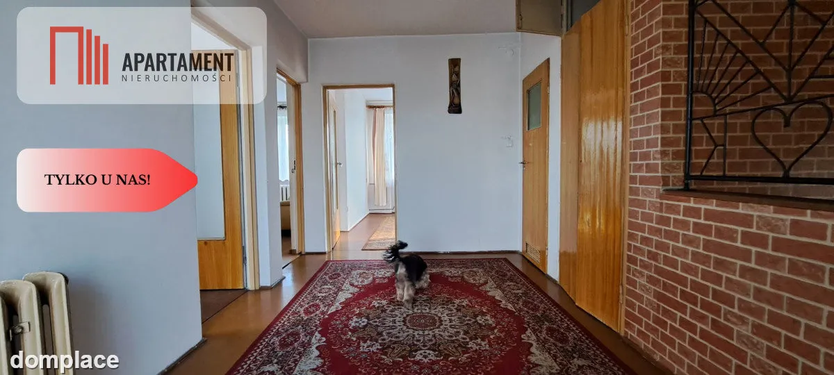 Tylko u nas! Dom, szklarnia, ogród, cisza — zdjęcie 17