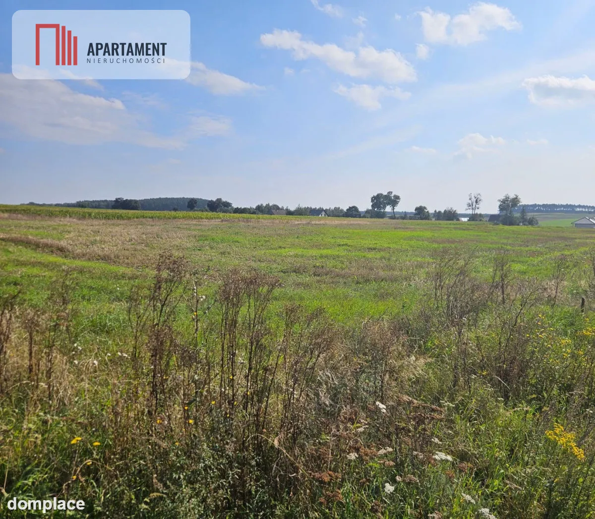 Działka budowlana 885 m² , Smogorzewo — zdjęcie 2