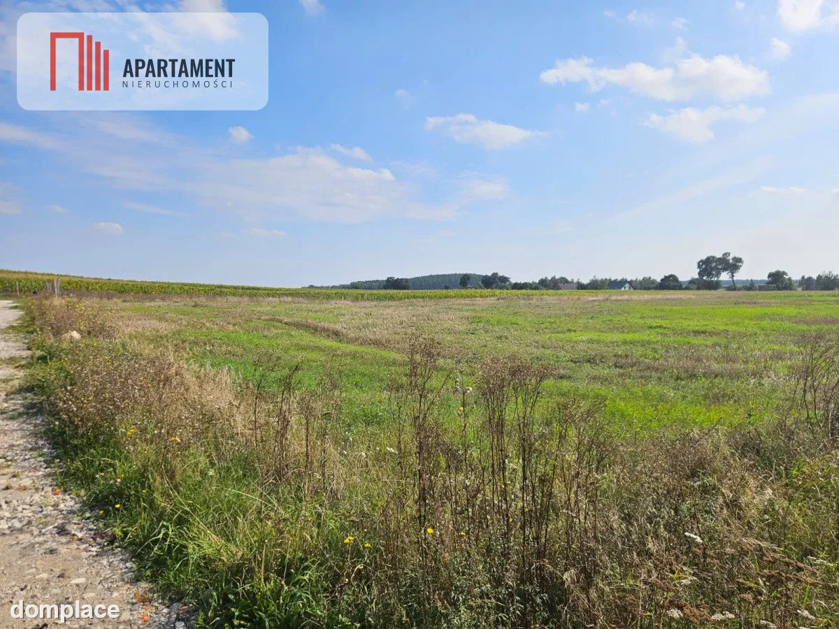 Działka budowlana 885 m² , Smogorzewo — zdjęcie 7
