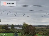 Dom z widokiem na jezioro - 3 odrębne mieszkania — zdjęcie 12