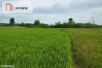 działka budowlana –linia brzegowa!!! — zdjęcie 3