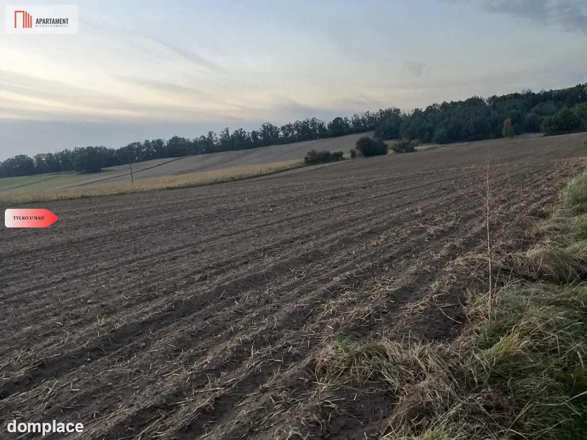 Działki z WZ - Zielonczyn — zdjęcie 4
