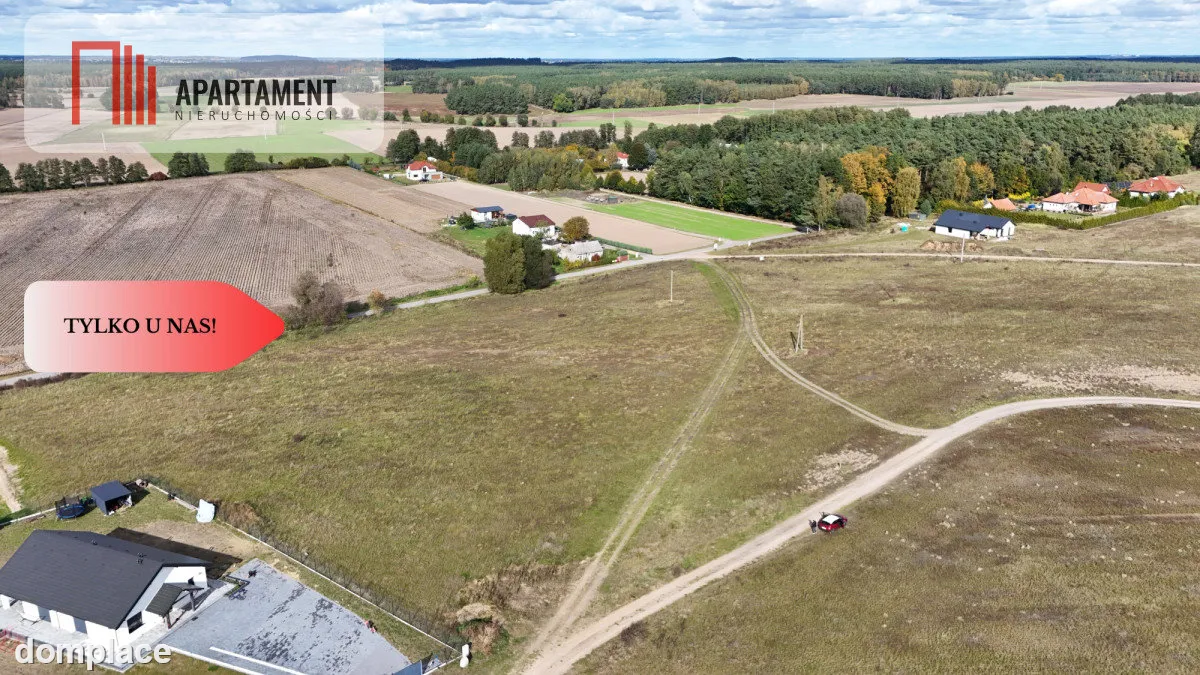 * działka z WZ Gąbin - Szubin — zdjęcie 10