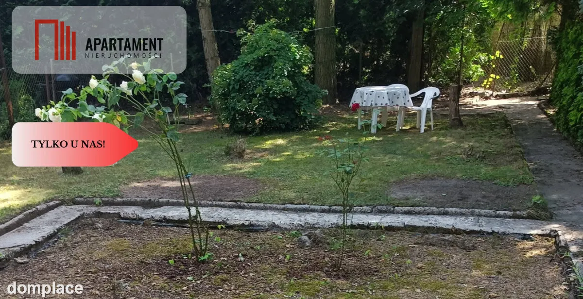 Działka z Kw las, jezioro, domek — zdjęcie 14