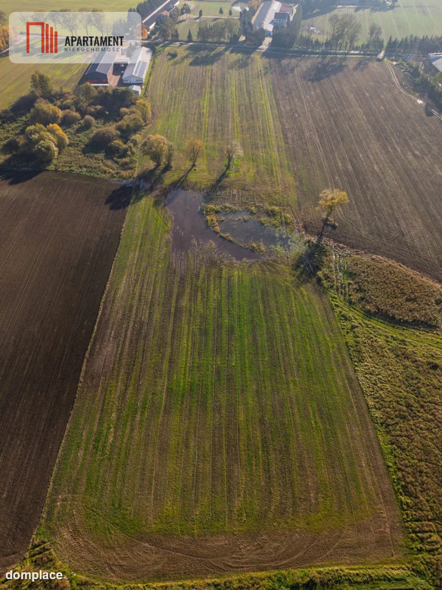 DZIAŁKA INWESTYCYJNA 4 HA – KAMIEŃ DUŻY — zdjęcie 2