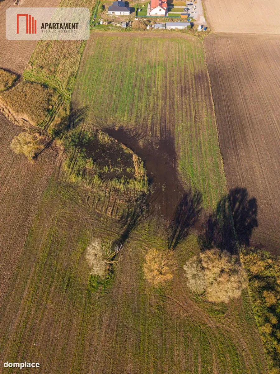 DZIAŁKA INWESTYCYJNA 4 HA – KAMIEŃ DUŻY — zdjęcie 3