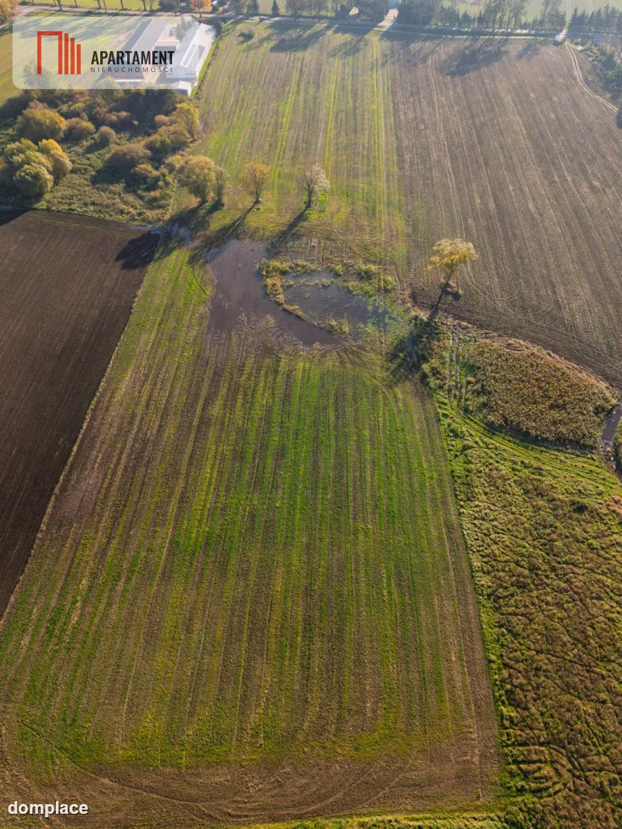 DZIAŁKA INWESTYCYJNA 4 HA – KAMIEŃ DUŻY — zdjęcie 4