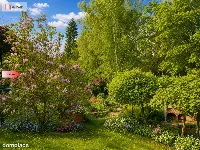 Tylko u Nas! Działka ROD! Nad Brdą! — zdjęcie 5