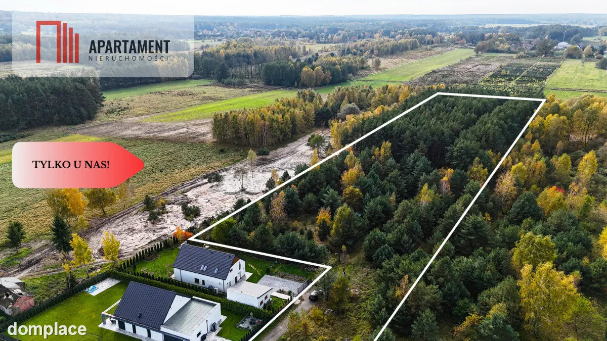 Działka z własnym lasem pod Łodzią! — zdjęcie 2