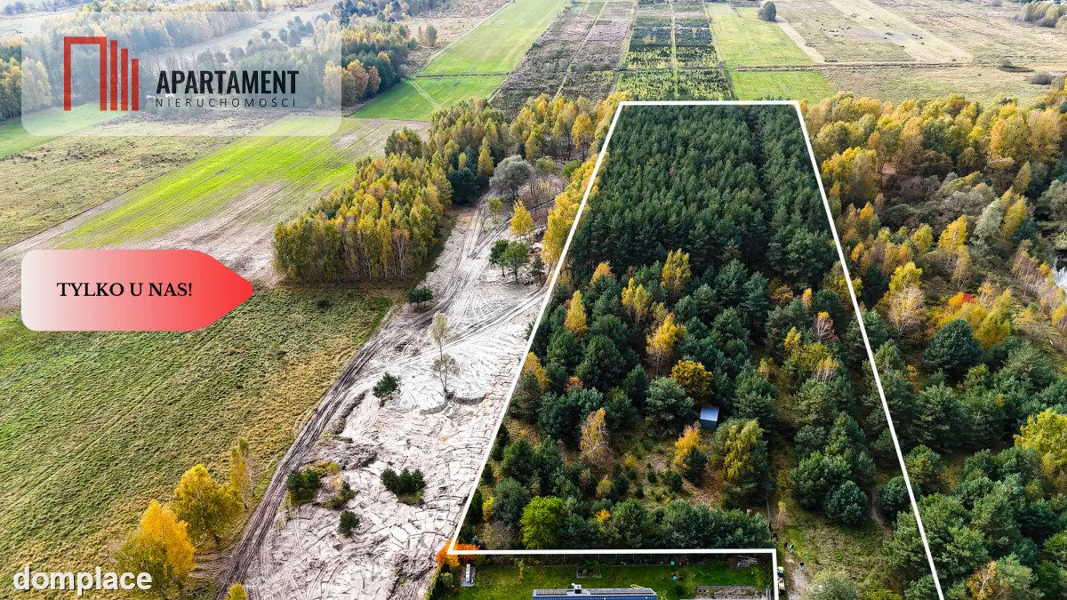 Działka z własnym lasem pod Łodzią! — zdjęcie 7