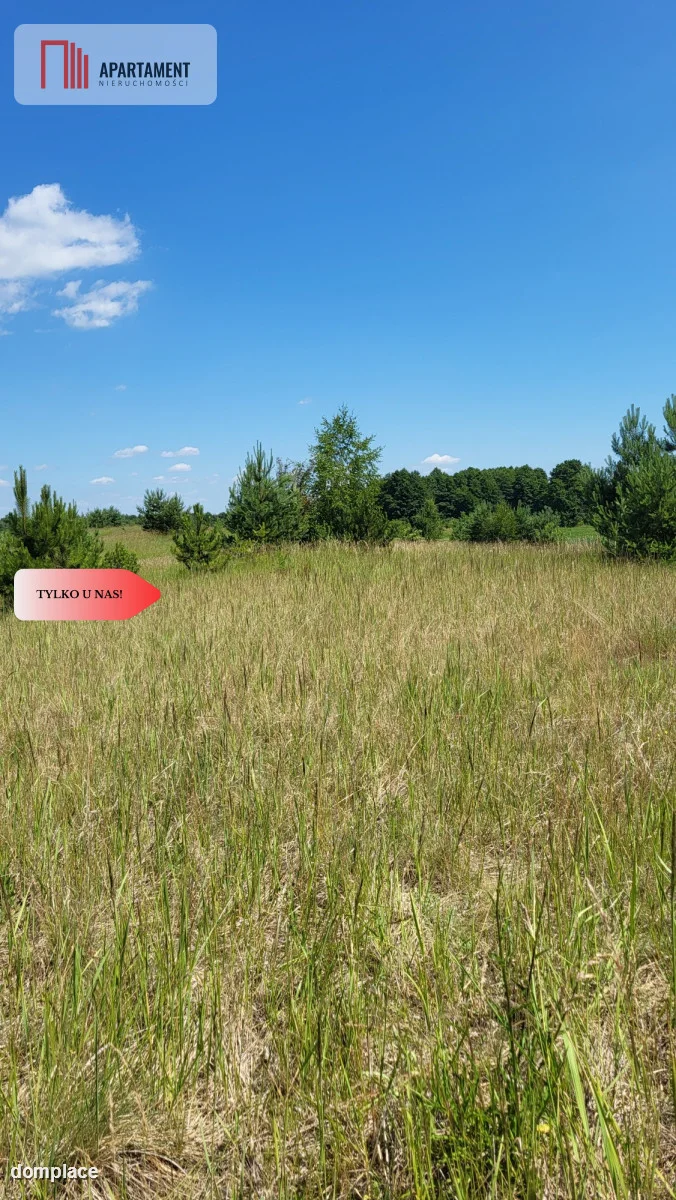Działki z WZ - świetna lokalizacja natura, jezioro — zdjęcie 7