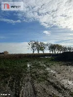 Działki - droga asfaltowa, media! — zdjęcie 4