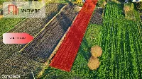 Dwa domy w cenie jednego! Duża działka 3000 m², — zdjęcie 23