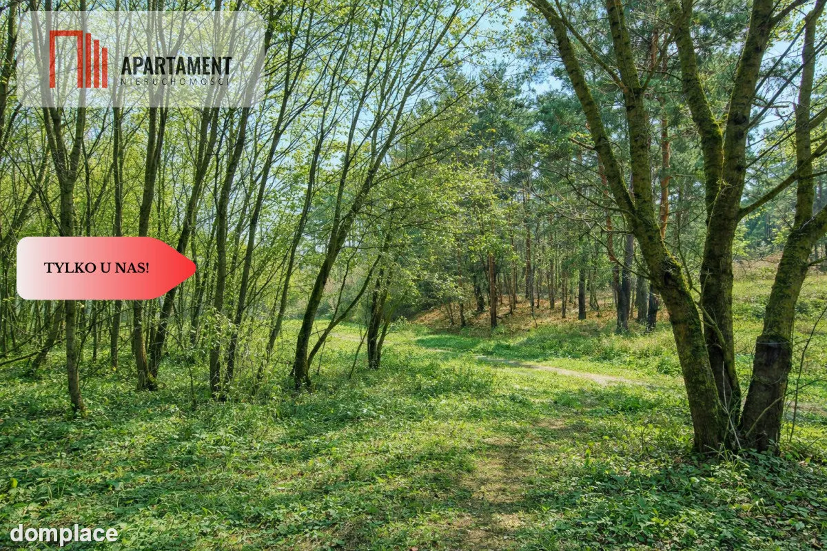 Działki budowlane w zaciszu lasu. Grabowiec. — zdjęcie 6