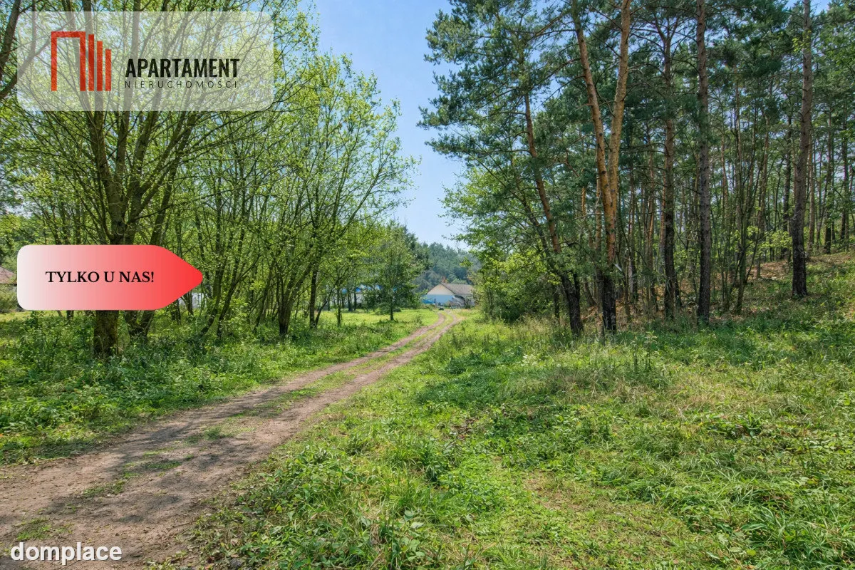 Działki budowlane w zaciszu lasu. Grabowiec. — zdjęcie 7