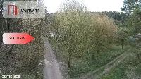 Działki budowlane w zaciszu lasu. Grabowiec. — zdjęcie 5