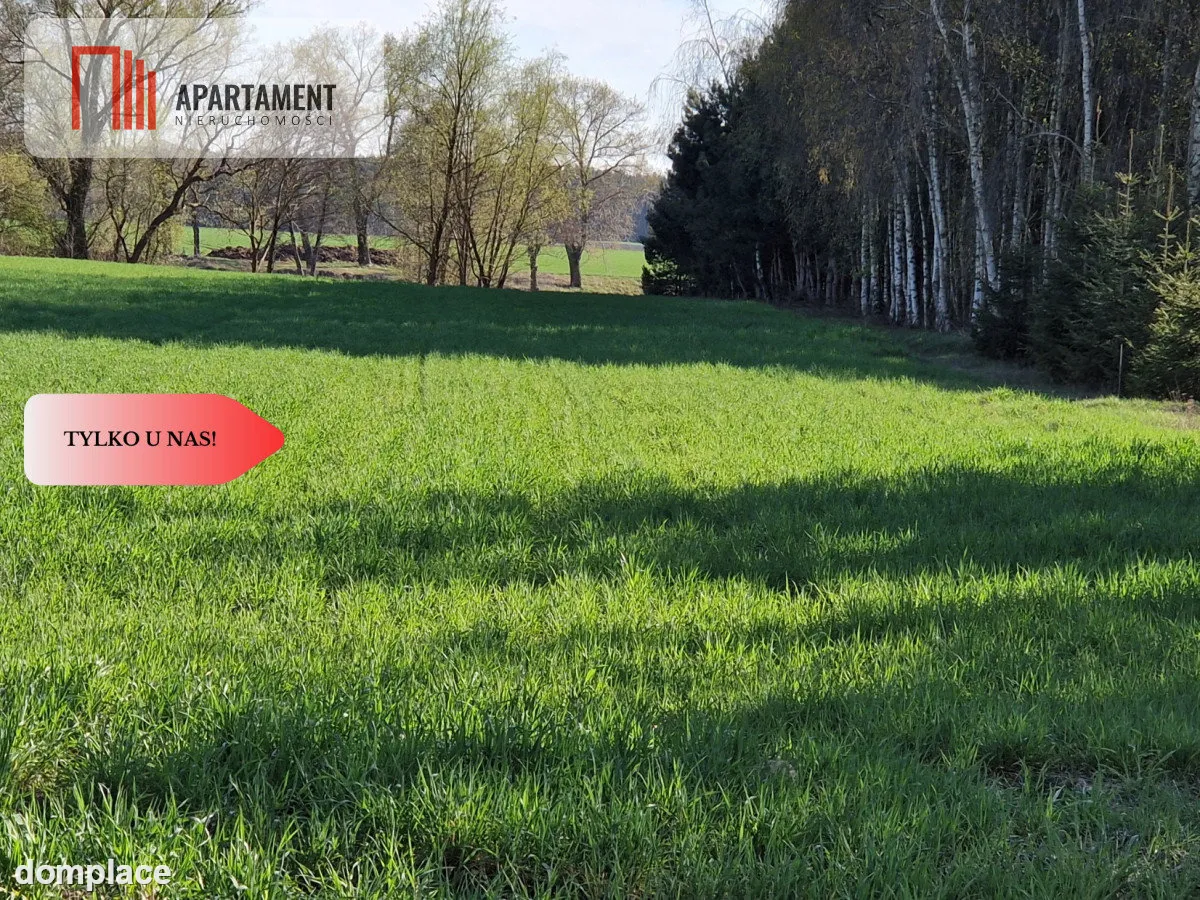 Działki budowlane niedaleko jeziora — zdjęcie 4
