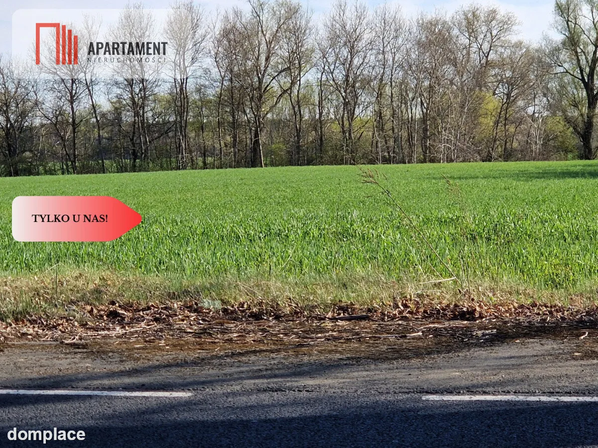 Działki budowlane niedaleko jeziora — zdjęcie 8