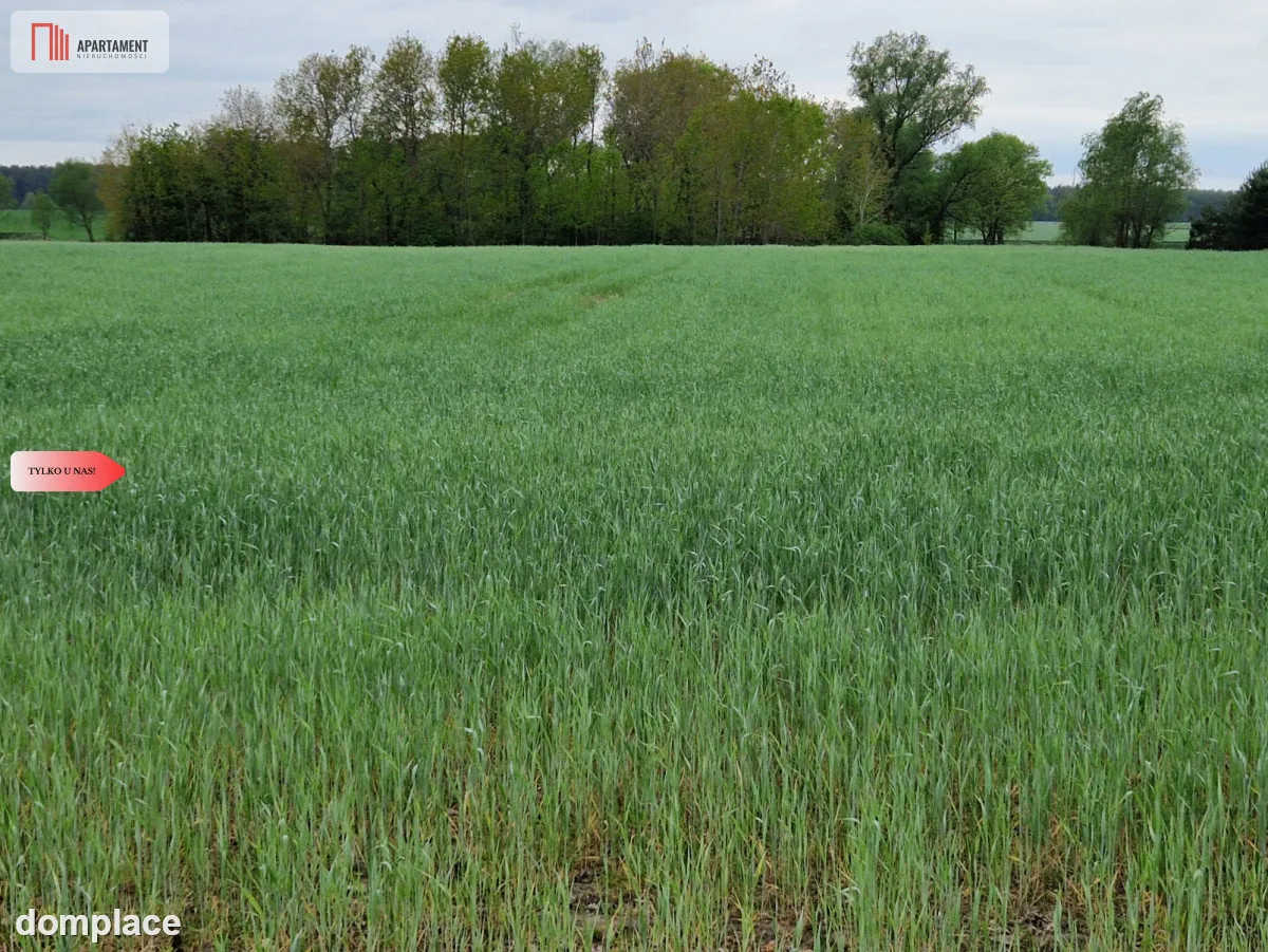 Działki budowlane niedaleko jeziora — zdjęcie 3