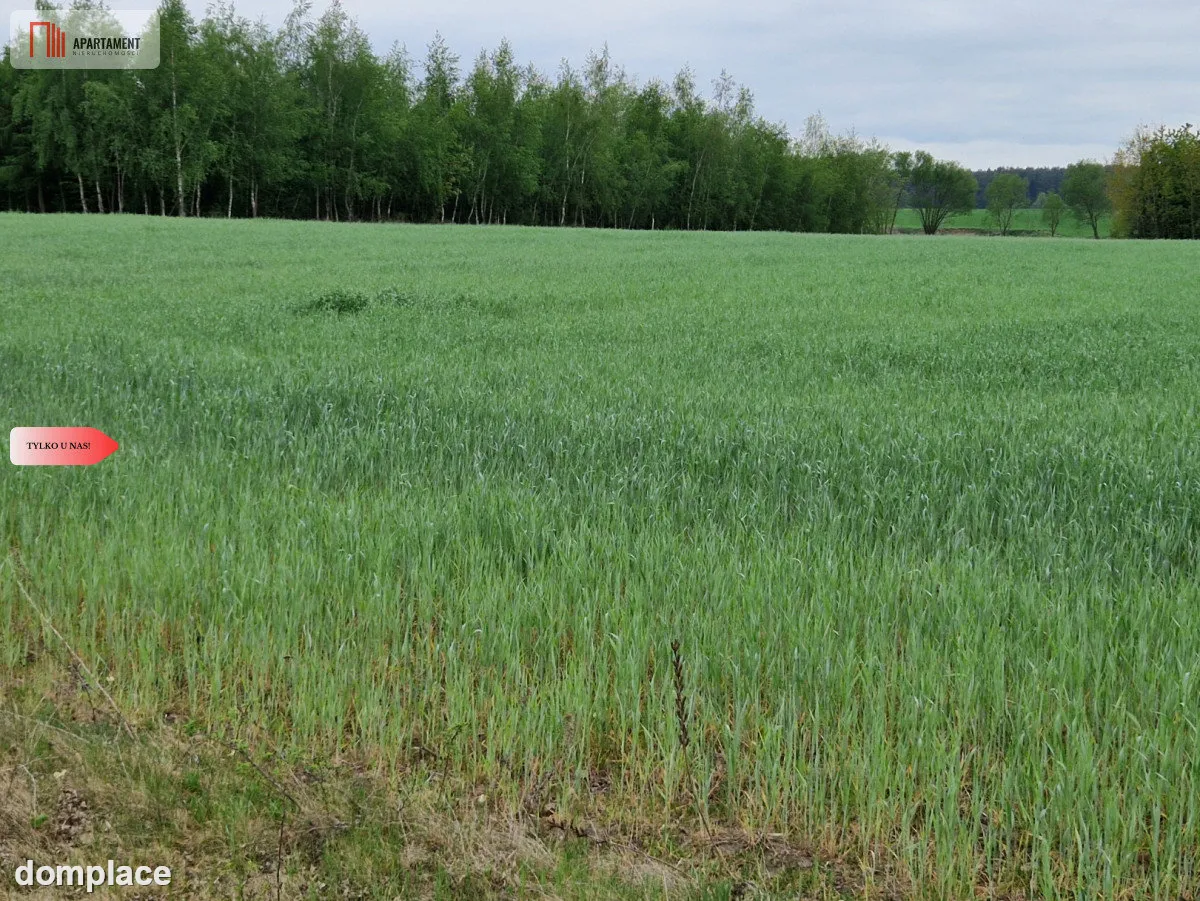 Działki budowlane niedaleko jeziora — zdjęcie 2