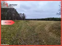 Tylko u Nas! Działka rolna o pow. 2,35 ha. — zdjęcie 1