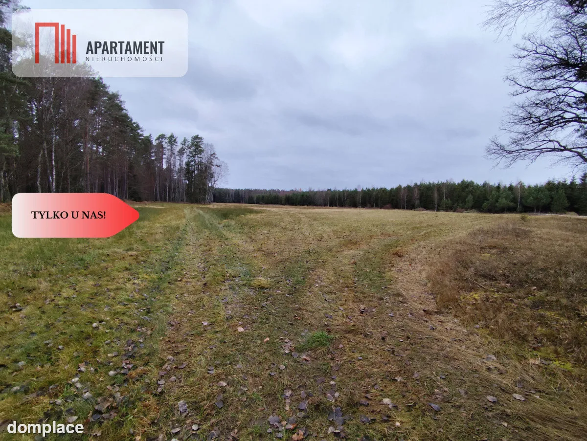Tylko u Nas! Działka rolna o pow. 2,35 ha. — zdjęcie 4