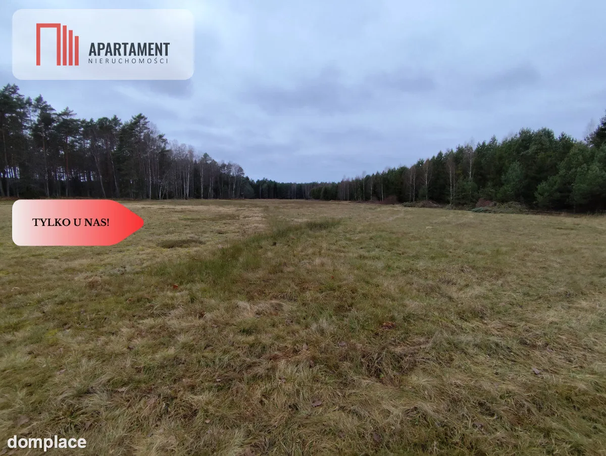 Tylko u Nas! Działka rolna o pow. 2,35 ha. — zdjęcie 7