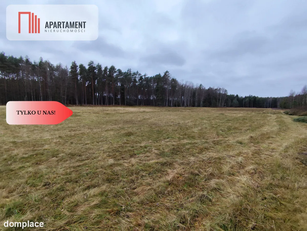 Tylko u Nas! Działka rolna o pow. 2,35 ha. — zdjęcie 8