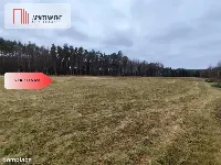 Tylko u Nas! Działka rolna o pow. 2,35 ha. — zdjęcie 8