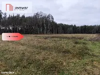 Tylko u Nas! Działka rolna o pow. 2,35 ha. — zdjęcie 10